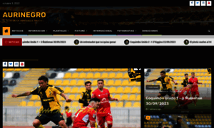 Aurinegro.cl thumbnail