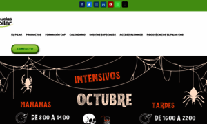 Autoescuelaselpilar.com thumbnail