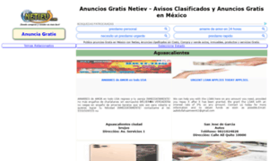 Autos-df.netiev.com.mx thumbnail