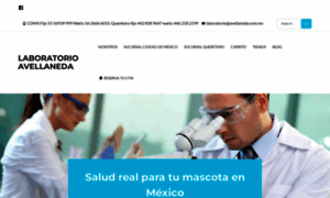 Avellaneda.com.mx thumbnail