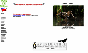 Avesdechile.cl thumbnail