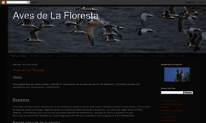 Avesdelafloresta.blogspot.com thumbnail