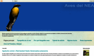 Avesdelnea.blogspot.com thumbnail