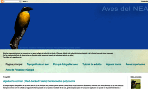 Avesdelnea.blogspot.no thumbnail