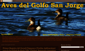 Avesgolfosanjorge.blogspot.com thumbnail
