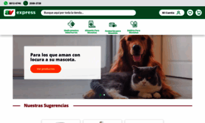 Avexpress.dospinos.com thumbnail