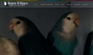 Aviarioelpajaro.com thumbnail