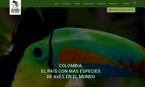 Aviarionacional.co thumbnail