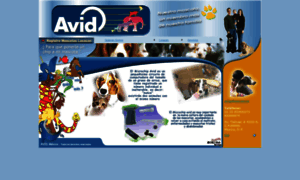 Avid.com.mx thumbnail
