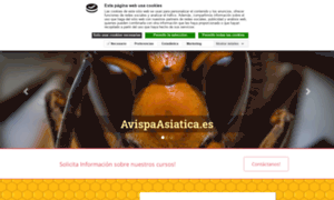 Avispaasiatica.es thumbnail