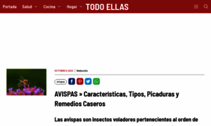 Avispas.info thumbnail