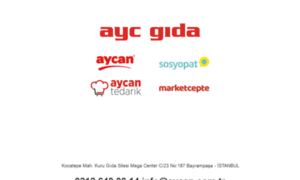 Aycan.com.tr thumbnail