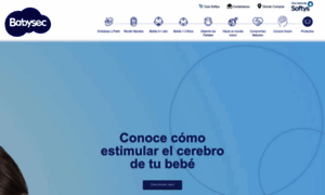 Babysec.com.ar thumbnail