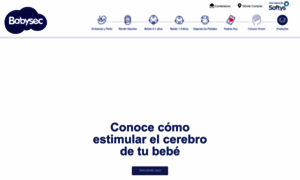 Babysec.com.co thumbnail