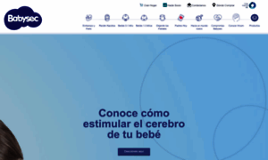 Babysec.com.mx thumbnail
