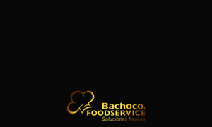 Bachocofoodservice.com thumbnail