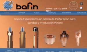 Bafin.cl thumbnail