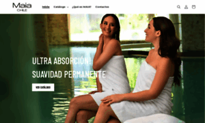Bandb-chile.com thumbnail