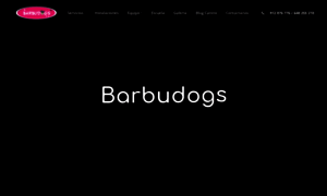 Barbudogs.es thumbnail