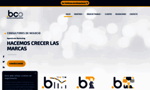 Bcsconsultoresdenegocio.com thumbnail