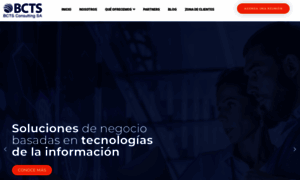 Bctsconsulting.com thumbnail