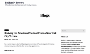 Bedfordandbowery.com thumbnail