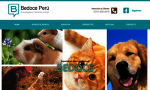 Bedoce.com.pe thumbnail