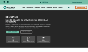 Bequinor.org thumbnail
