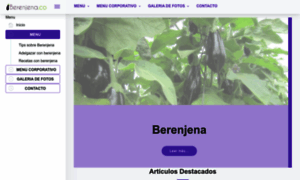 Berenjena.co thumbnail