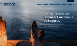 Berrocarcorreduria.com thumbnail