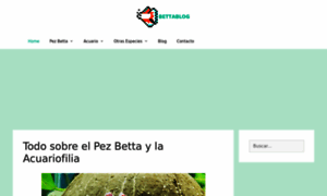 Bettablog.net thumbnail