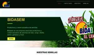 Bidasem.com thumbnail