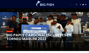 Bigfish.mx thumbnail