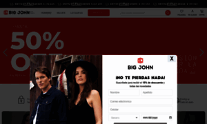 Bigjohn.com.co thumbnail