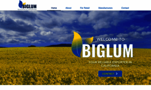 Biglum.com thumbnail