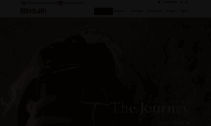 Binnariproject.com thumbnail