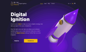 Binpar.com thumbnail