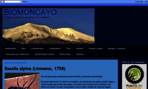 Biomoncayo.blogspot.com thumbnail