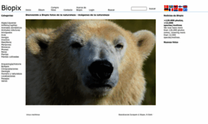 Biopix.es thumbnail