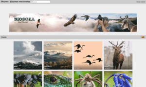 Biosgea.com thumbnail