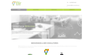 Birconsultores.cl thumbnail