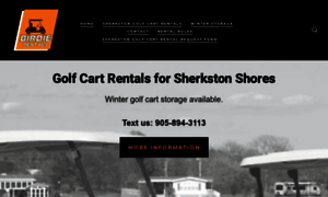Birdiegolfcarts.com thumbnail