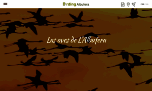 Birdingalbufera.es thumbnail