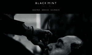 Blackmintbs.com thumbnail