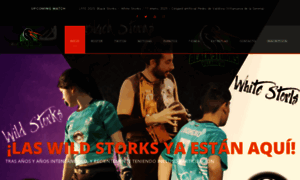 Blackstorks.com thumbnail