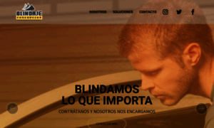 Blindajeconcepcion.cl thumbnail