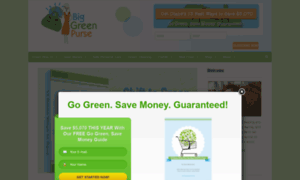 Blog.biggreenpurse.com thumbnail