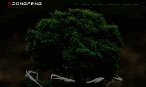 Blog.dongfeng.ec thumbnail