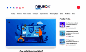 Blog.neubox.com thumbnail