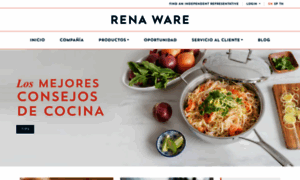Blog.renaware.com thumbnail